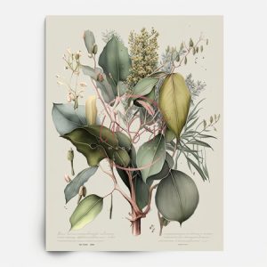 eucalyptus