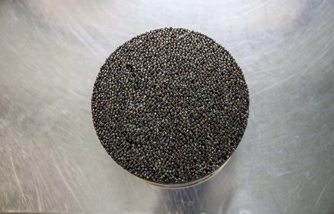 Caviar illégal pour 35K€ saisi à Toulouse