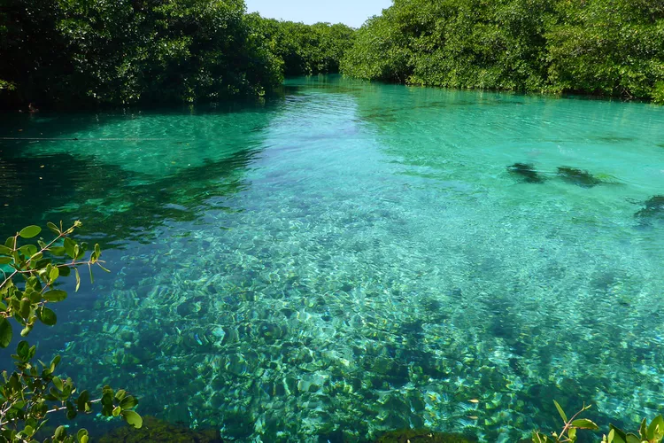 Cenote Casa-Cenote.