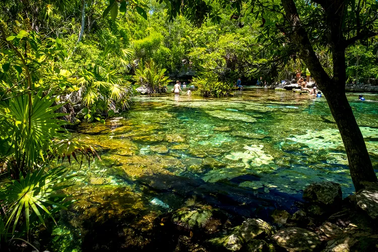 Cenote Jardin del Eden