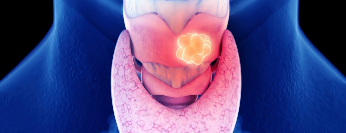 Ablation rétropéritonéale postérieure de l'adrénale