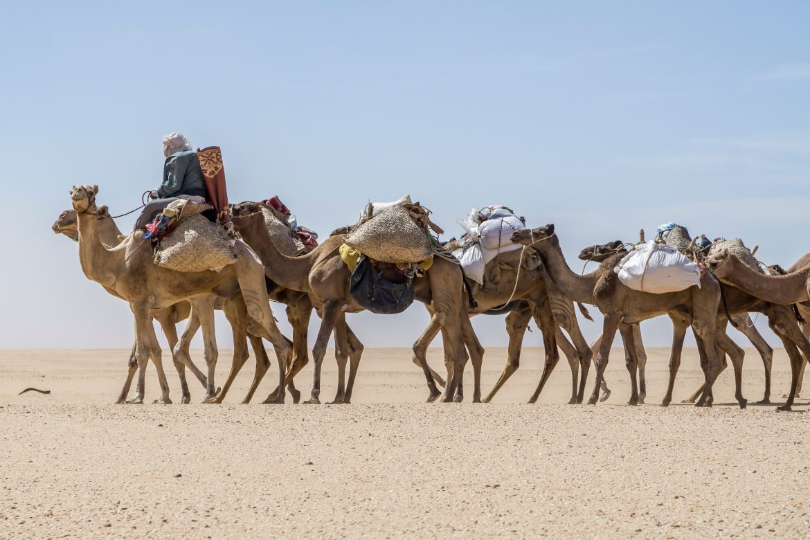 Tout savoir sur les principales tribus du Tchad et leurs racines