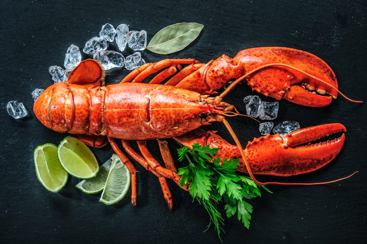 Attention aux Fruits de Mer: Risques de Toxines Cancérigènes Détectés