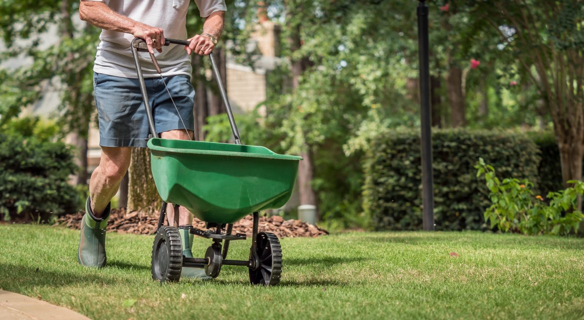 Quand et Comment Fertiliser son Gazon : Conseils d'Experts