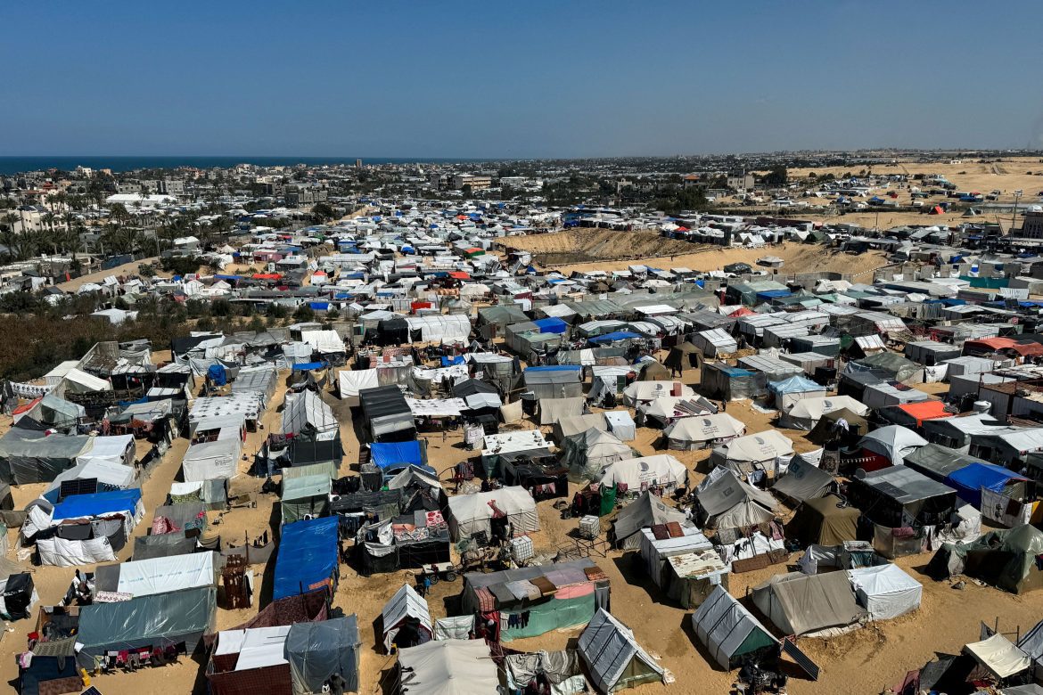 Etudiant de Gaza soutient thèse depuis camps de déplacés