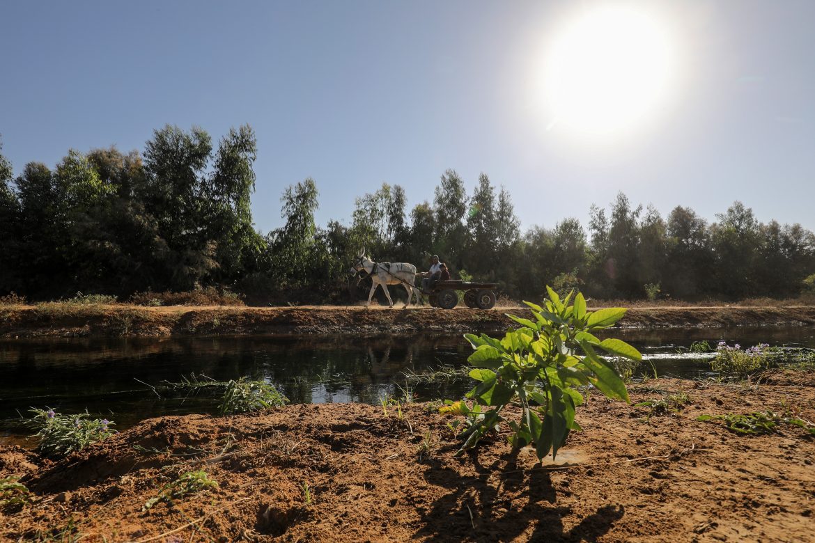 Juhor ad-Dik Réserve alimentare et Talon d'Achille de Gaza