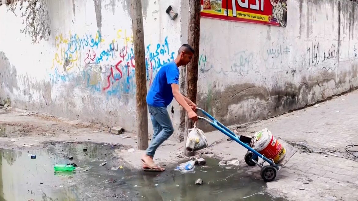 L'OMS alerte sur l'eau contaminée des habitants de Gaza