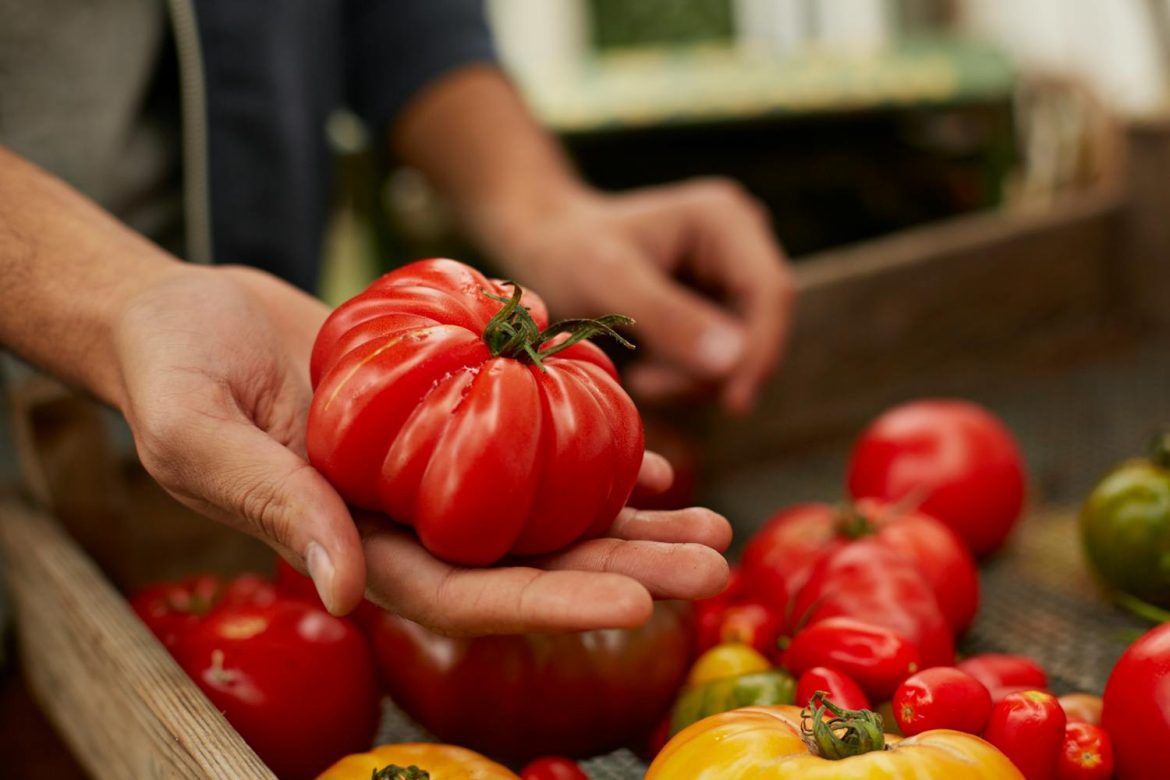 Tomates - Un Aliment Naturel Pour Réduire Votre Hypertension.jpeg