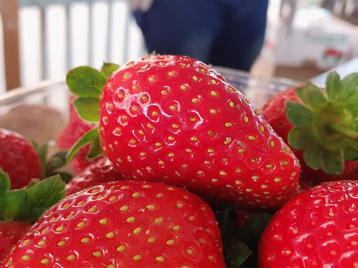 Rassurez-vous Insectes de fraises bénéfiques pour la santé