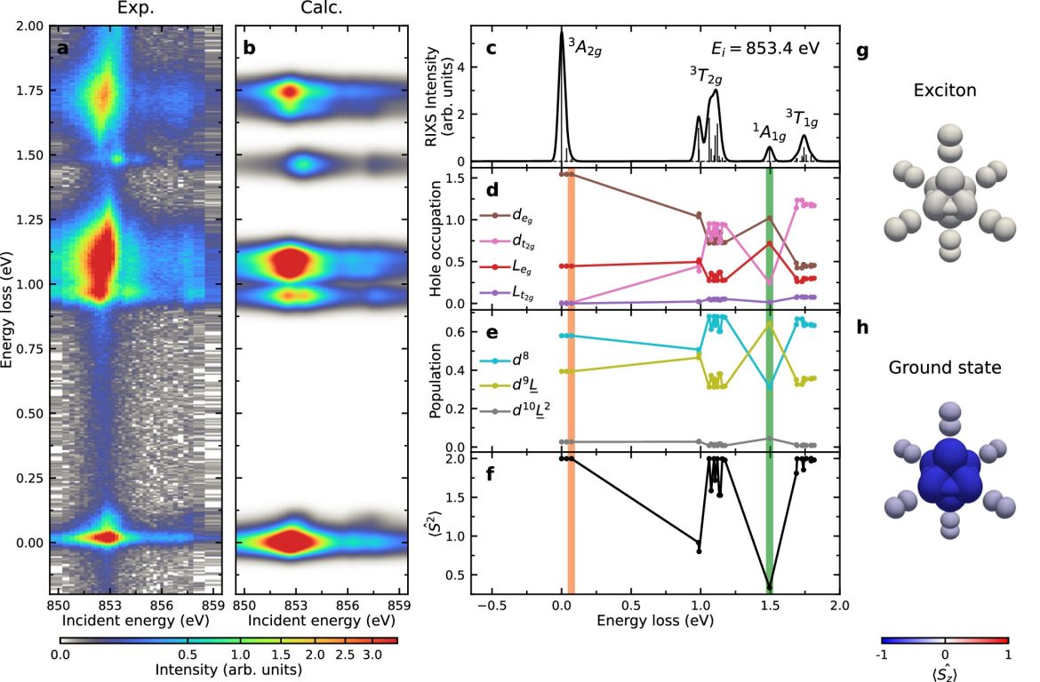 Des chercheurs étudient les excitons dans les aimants de van der Waals