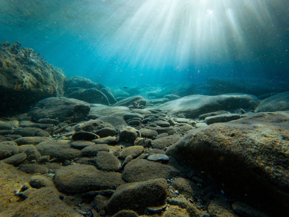 Géant sous-marin de 60000 ans découvert au large du Maroc