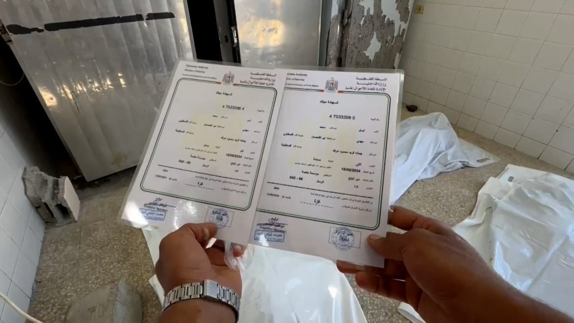 Jour où j'ai reçu le certificat de naissance de mes jumeaux martyrisés à Gaza