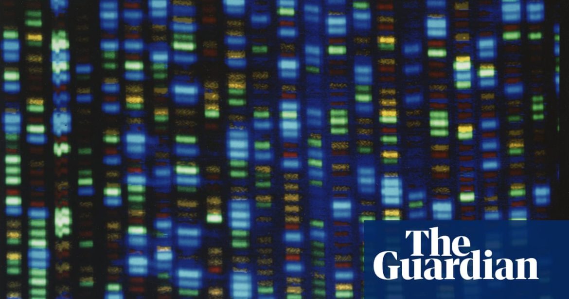 Une mutation génétique à l'origine de retards de développement sévères