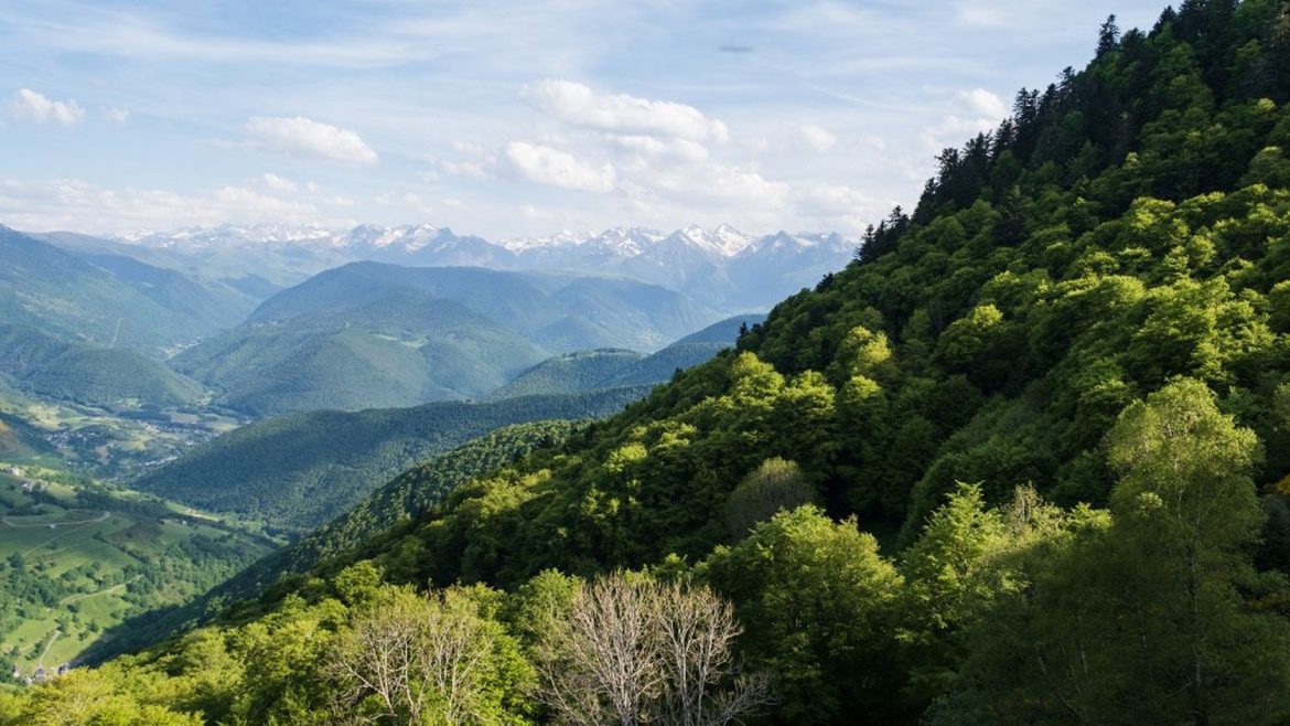 Bilan météo de l'été 2024 : températures record en France