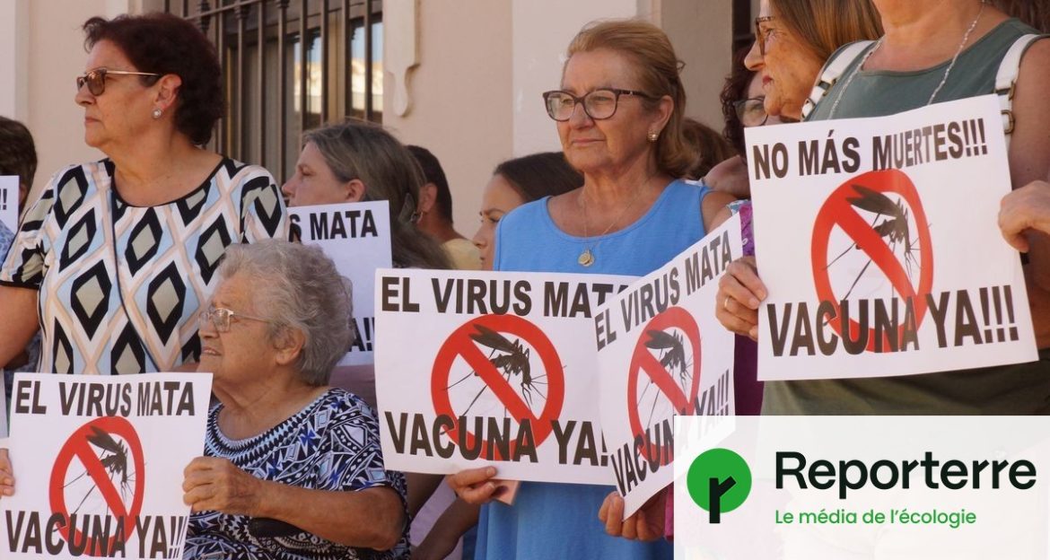 Virus du Nil : 5 morts en Espagne suscitent la panique