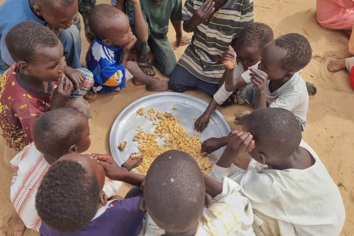 97% des Soudanais en danger de famine alarmante