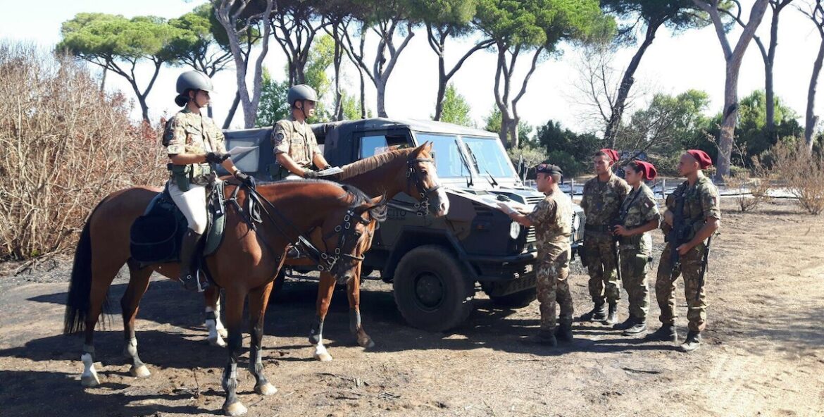 Fermeture du Cemivet : l'élevage militaire de chevaux en Italie