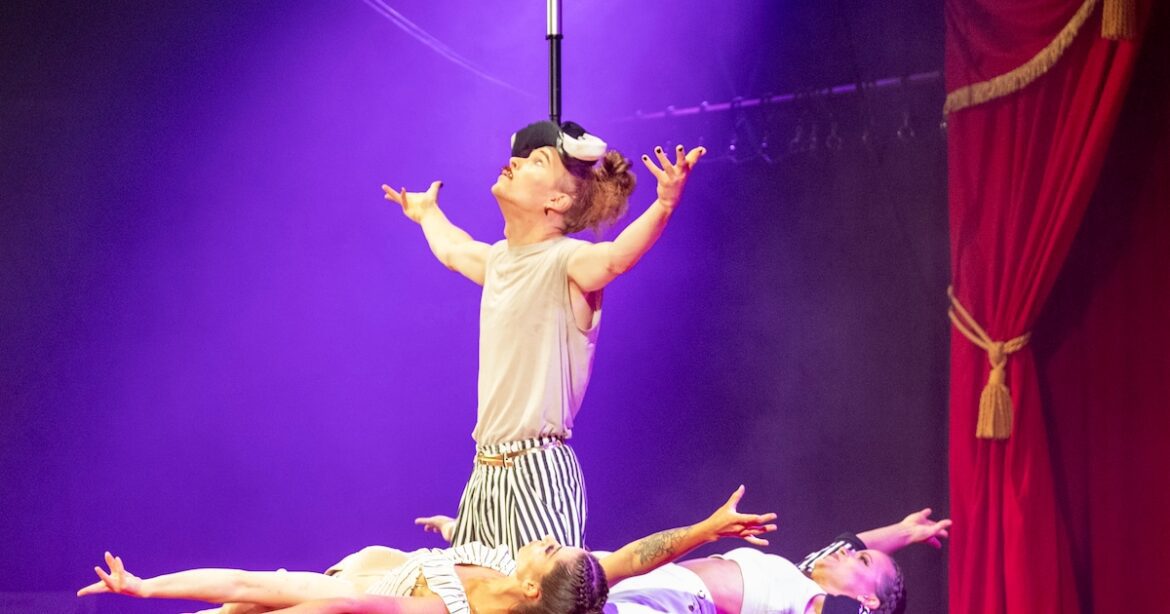 Le Magic Circus : Un Spectacle Inclusif pour Tous