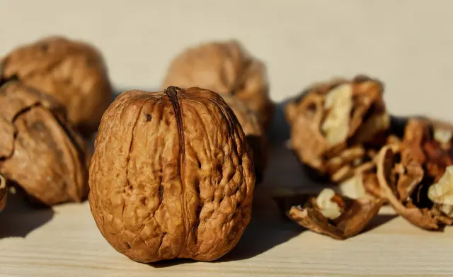 Les noix apportent de nombreux bénéfices pour la santé.