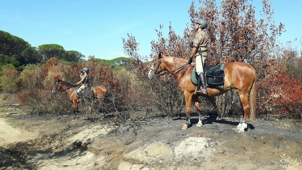 Militaires à cheval du régiment Lancieri di Montebello dans la pineta de Castel Fusano, à Rome, le 24 août 2017 (photo Ansa/Ufficio stampa)