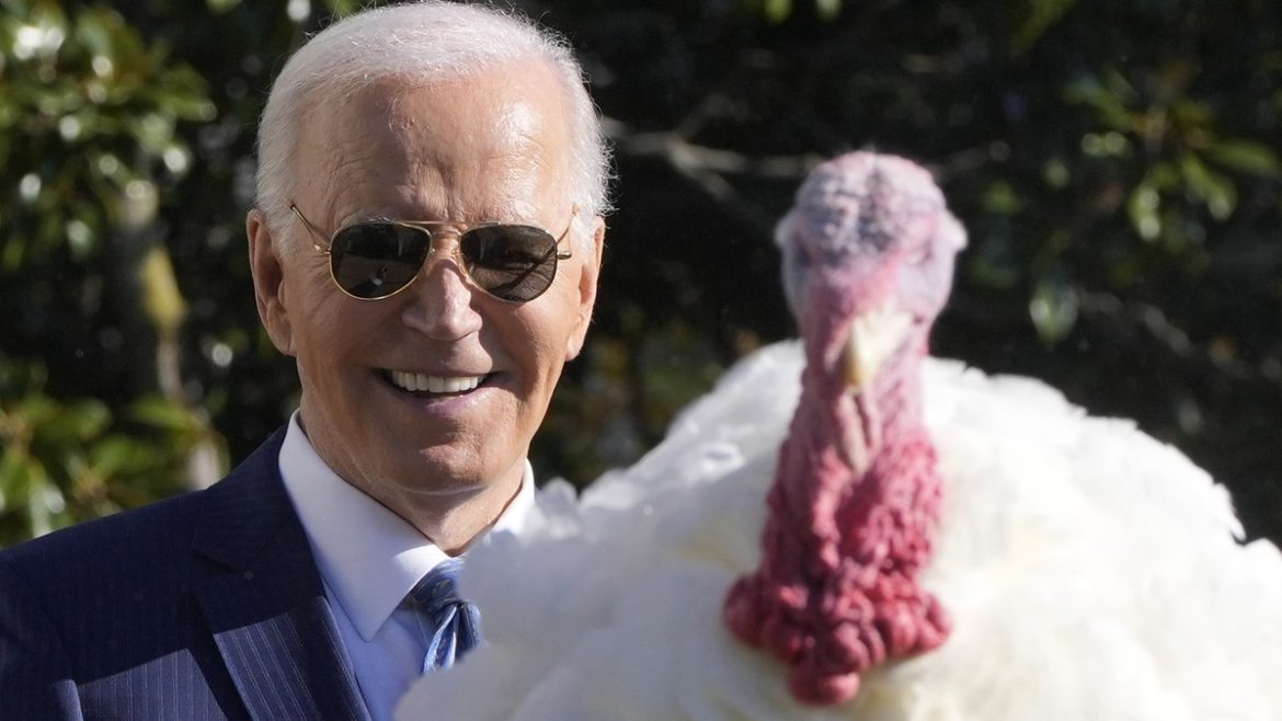 Biden pardonne des dindes avant Thanksgiving : un rituel traditionnel