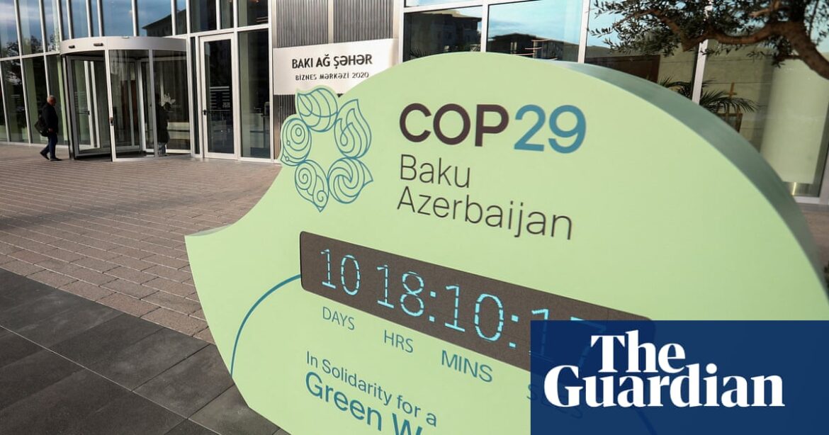 COP29 : Qui sont les leaders mondiaux présents à Baku ?