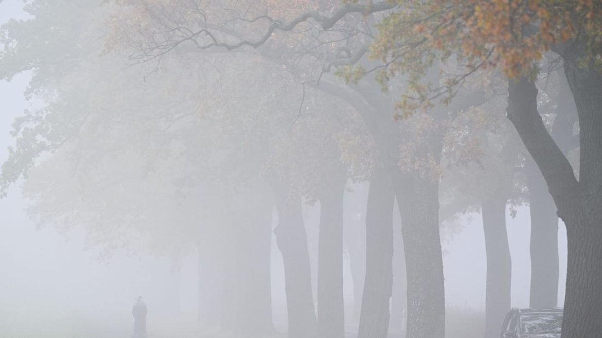 Conditions Météorologiques Tristes pour l'Avent en Bavière