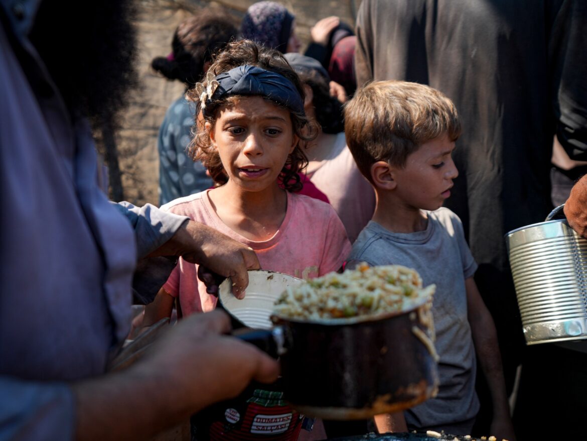 La faim insupportable à Gaza : un cri de désespoir