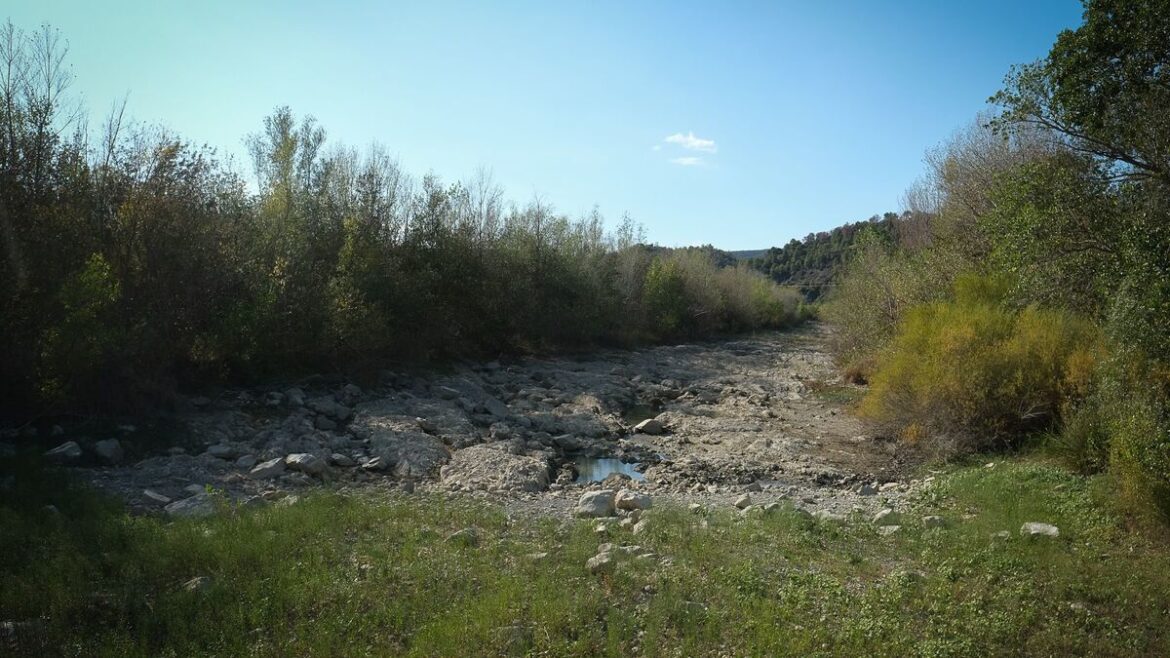 Pyrénées-Orientales : Les poissons déplacés face à la sécheresse