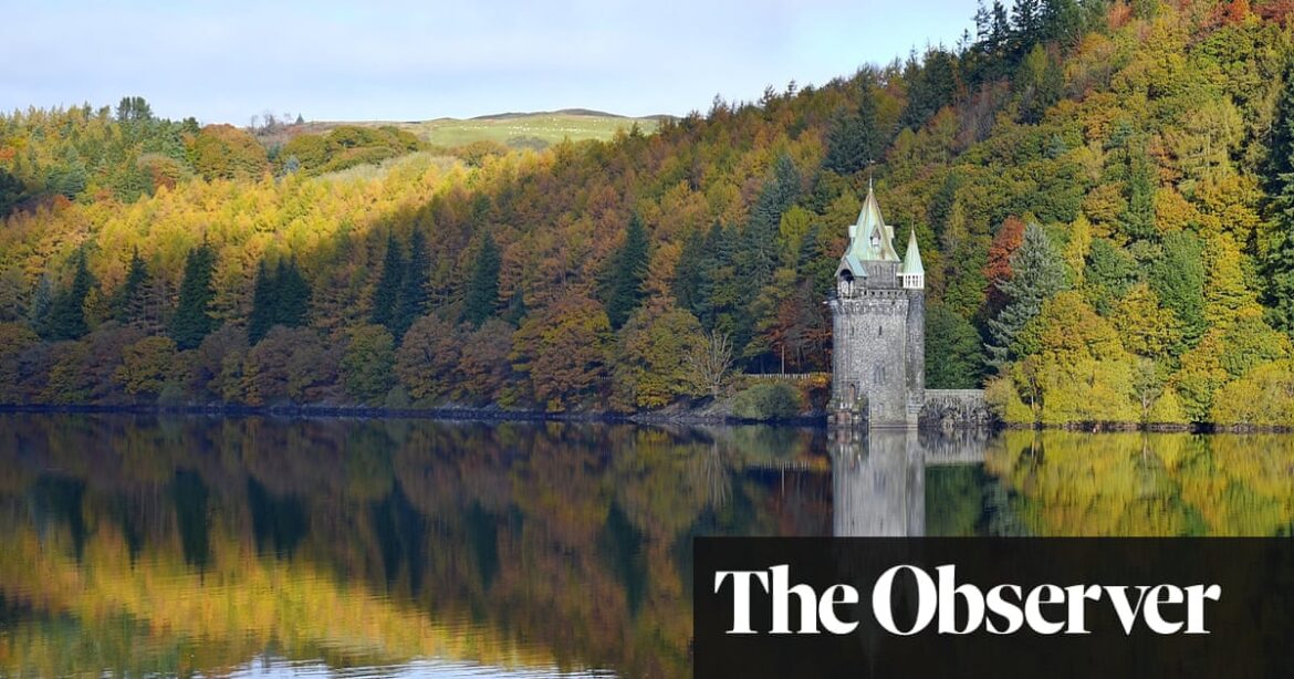 Un nouveau parc national au Pays de Galles : qui en profite ?