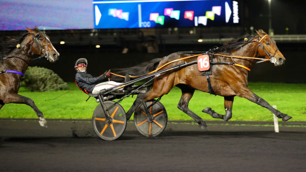 Victoire de Jabalpur au Quinté du 8 novembre à Paris-Vincennes