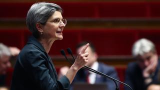 Sandrine Rousseau, à l'Assemblée nationale le 30 janvier 2024.