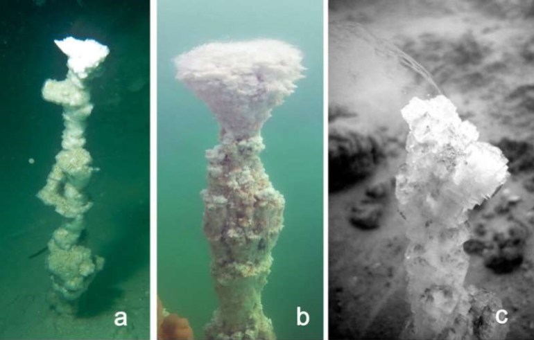 Groupes de mouches salines formées dans les profondeurs de la Mer Morte (Science of the Total Environment)