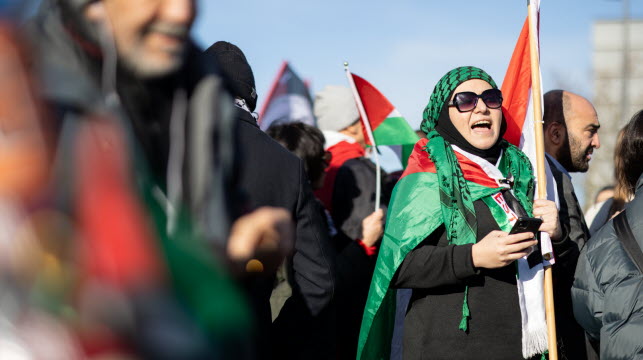 Une personne porte un drapeau de la Palestine lors d’un rassemblement pour le peuple palestinien devant le Parlement Européen, à Strasbourg le 27 novembre 2024. Photo Roméo Boetzlé