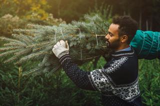 Chaque année, les Français achètent leur sapin de plus en plus en avance.