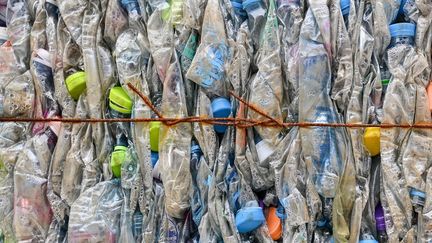 Des déchets de bouteilles en plastique dans la province de Ranong, en Thaïlande, le 23 septembre 2024. (MANAN VATSYAYANA / AFP)